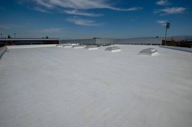 Best Steel Roofing  in Smithfield, VA